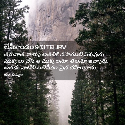 Picture 02 - లేవీకాండం 9:13 TELIRV - తరువాత వాళ్ళు - Bible Verse Picture