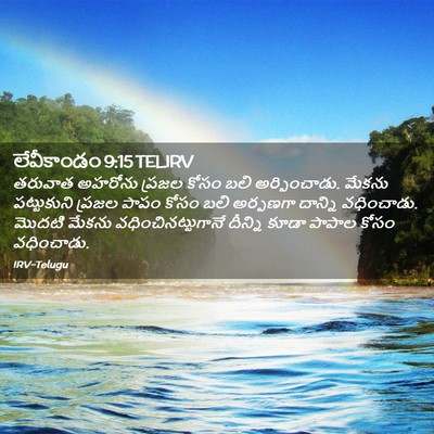 Picture 02 - లేవీకాండం 9:15 TELIRV - తరువాత అహరోను - Bible Verse Picture