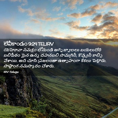 Picture 02 - లేవీకాండం 9:24 TELIRV - యెహోవా సమక్షం - Bible Verse Picture