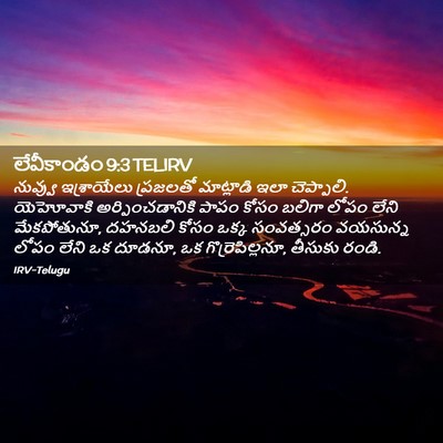 Picture 02 - లేవీకాండం 9:3 TELIRV - నువ్వు ఇశ్రాయేలు - Bible Verse Picture