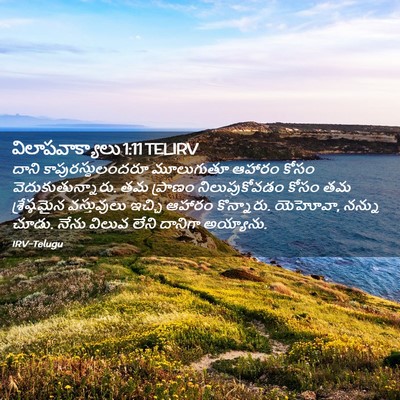 Picture 02 - విలాపవాక్యాలు 1:11 TELIRV - దాని - Bible Verse Picture