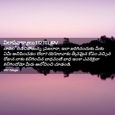 Picture 02 - విలాపవాక్యాలు 1:12 TELIRV - దారిలో - Bible Verse Picture