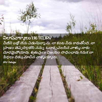 Picture 02 - విలాపవాక్యాలు 1:16 TELIRV - వీటిని బట్టి నేను - Bible Verse Picture