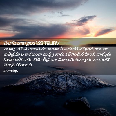 Picture 02 - విలాపవాక్యాలు 1:22 TELIRV - వాళ్ళు చేసిన - Bible Verse Picture