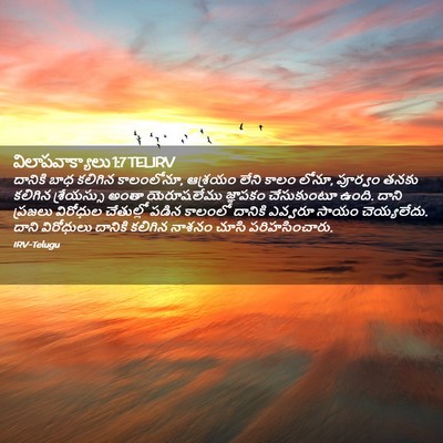 Picture 02 - విలాపవాక్యాలు 1:7 TELIRV - దానికి బాధ కలిగిన - Bible Verse Picture