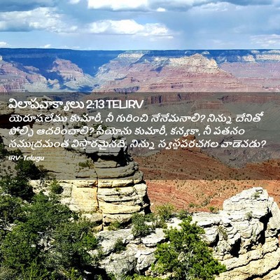 Picture 02 - విలాపవాక్యాలు 2:13 TELIRV - యెరూషలేము కుమారీ, - Bible Verse Picture