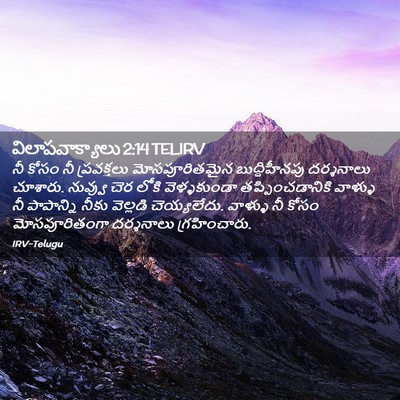 Picture 02 - విలాపవాక్యాలు 2:14 TELIRV - నీ కోసం నీ - Bible Verse Picture