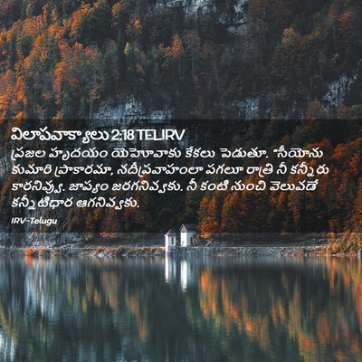 Picture 02 - విలాపవాక్యాలు 2:18 TELIRV - ప్రజల హృదయం - Bible Verse Picture