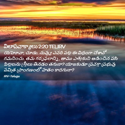 Picture 02 - విలాపవాక్యాలు 2:20 TELIRV - యెహోవా, చూడు. - Bible Verse Picture