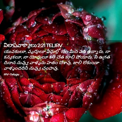 Picture 02 - విలాపవాక్యాలు 2:21 TELIRV - యువకులూ, వృద్ధులూ - Bible Verse Picture