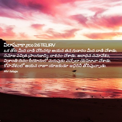 Picture 02 - విలాపవాక్యాలు 2:6 TELIRV - ఒక తోట మీద దాడి - Bible Verse Picture