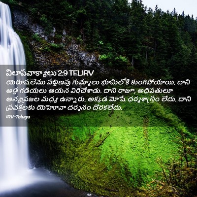 Picture 02 - విలాపవాక్యాలు 2:9 TELIRV - యెరూషలేము పట్టణపు - Bible Verse Picture