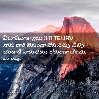 Picture 02 - విలాపవాక్యాలు 3:11 TELIRV - నాకు దారి లేకుండా - Bible Verse Picture