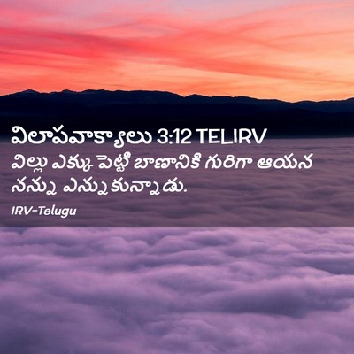 Picture 02 - విలాపవాక్యాలు 3:12 TELIRV - విల్లు - Bible Verse Picture