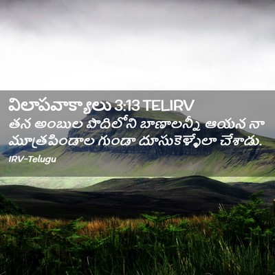 Picture 02 - విలాపవాక్యాలు 3:13 TELIRV - తన అంబుల పొదిలోని - Bible Verse Picture