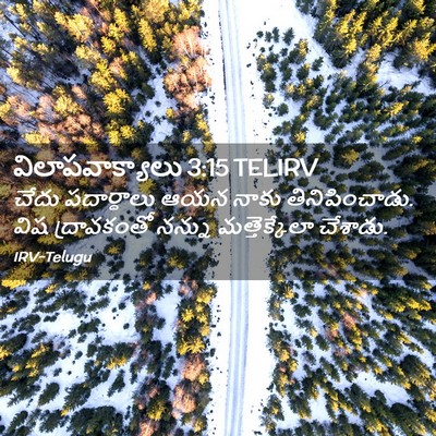 Picture 02 - విలాపవాక్యాలు 3:15 TELIRV - చేదు పదార్ధాలు - Bible Verse Picture