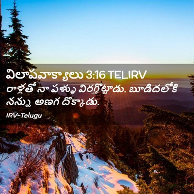 Picture 02 - విలాపవాక్యాలు 3:16 TELIRV - రాళ్లతో నా పళ్ళు - Bible Verse Picture