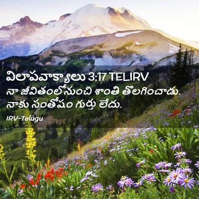 Picture 02 - విలాపవాక్యాలు 3:17 TELIRV - నా జీవితంలోనుంచి - Bible Verse Picture