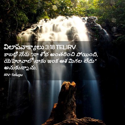 Picture 02 - విలాపవాక్యాలు 3:18 TELIRV - కాబట్టి నేను “నా - Bible Verse Picture