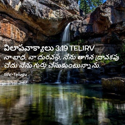 Picture 02 - విలాపవాక్యాలు 3:19 TELIRV - నా బాధ, నా దురవస్థ, - Bible Verse Picture