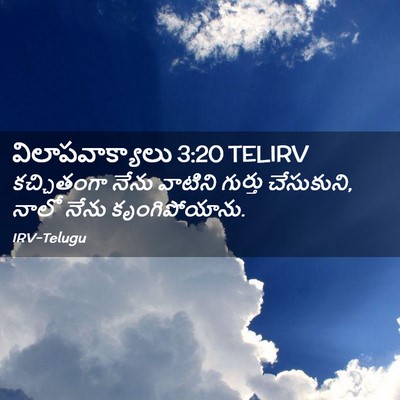Picture 02 - విలాపవాక్యాలు 3:20 TELIRV - కచ్చితంగా నేను - Bible Verse Picture