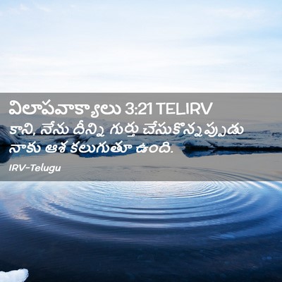 Picture 02 - విలాపవాక్యాలు 3:21 TELIRV - కాని, నేను దీన్ని - Bible Verse Picture