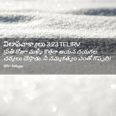 Picture 02 - విలాపవాక్యాలు 3:23 TELIRV - ప్రతి రోజూ మళ్ళీ - Bible Verse Picture