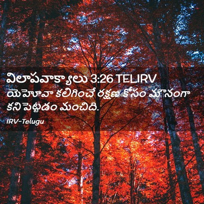 Picture 02 - విలాపవాక్యాలు 3:26 TELIRV - యెహోవా కలిగించే - Bible Verse Picture