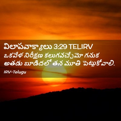 Picture 02 - విలాపవాక్యాలు 3:29 TELIRV - ఒకవేళ నిరీక్షణ - Bible Verse Picture