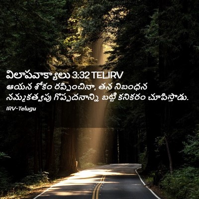 Picture 02 - విలాపవాక్యాలు 3:32 TELIRV - ఆయన శోకం - Bible Verse Picture
