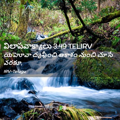 Picture 02 - విలాపవాక్యాలు 3:49 TELIRV - యెహోవా దృష్టించి - Bible Verse Picture
