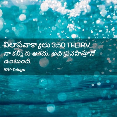 Picture 02 - విలాపవాక్యాలు 3:50 TELIRV - నా కన్నీరు ఆగదు. - Bible Verse Picture