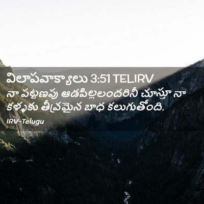 Picture 02 - విలాపవాక్యాలు 3:51 TELIRV - నా పట్టణపు - Bible Verse Picture