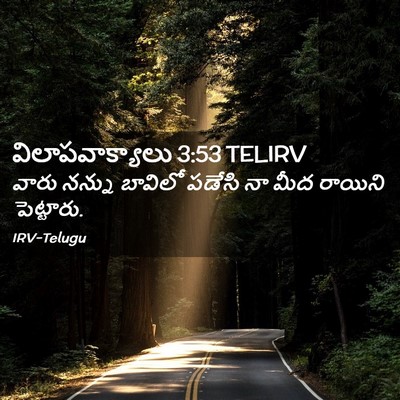 Picture 02 - విలాపవాక్యాలు 3:53 TELIRV - వారు నన్ను బావిలో - Bible Verse Picture