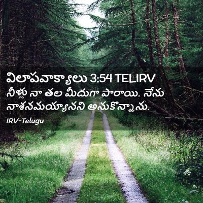 Picture 02 - విలాపవాక్యాలు 3:54 TELIRV - నీళ్లు నా తల - Bible Verse Picture