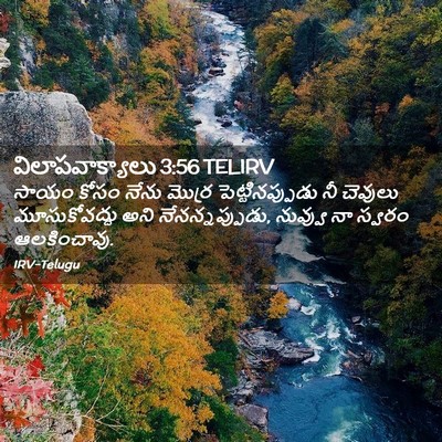 Picture 02 - విలాపవాక్యాలు 3:56 TELIRV - సాయం కోసం నేను - Bible Verse Picture
