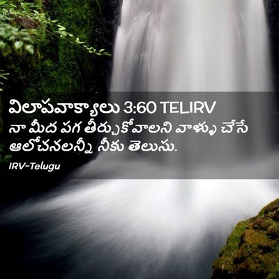 Picture 02 - విలాపవాక్యాలు 3:60 TELIRV - నా మీద పగ - Bible Verse Picture