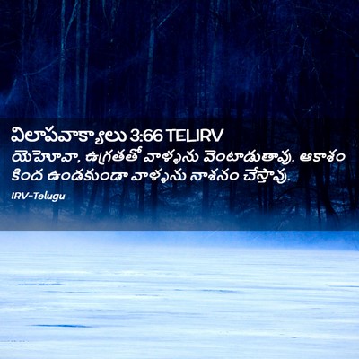 Picture 02 - విలాపవాక్యాలు 3:66 TELIRV - యెహోవా, ఉగ్రతతో - Bible Verse Picture