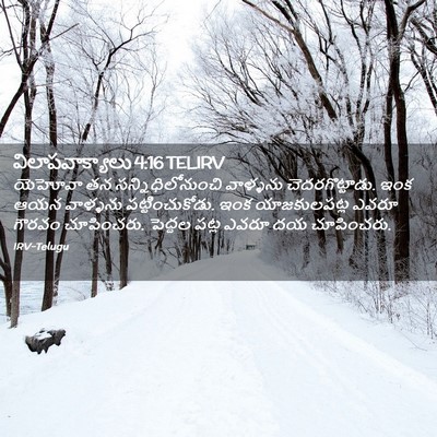 Picture 02 - విలాపవాక్యాలు 4:16 TELIRV - యెహోవా తన - Bible Verse Picture
