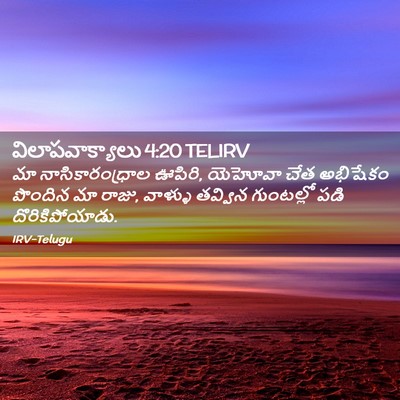 Picture 02 - విలాపవాక్యాలు 4:20 TELIRV - మా నాసికారంధ్రాల - Bible Verse Picture