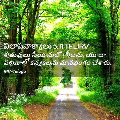 Picture 02 - విలాపవాక్యాలు 5:11 TELIRV - శత్రువులు - Bible Verse Picture