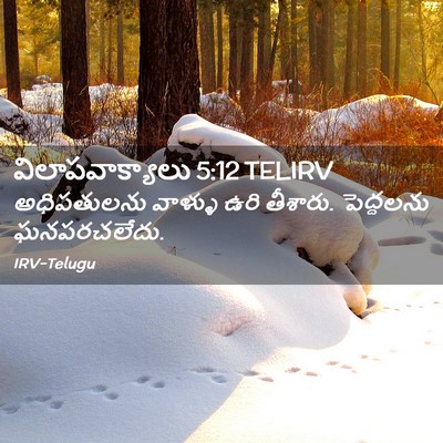 Picture 02 - విలాపవాక్యాలు 5:12 TELIRV - అధిపతులను వాళ్ళు - Bible Verse Picture