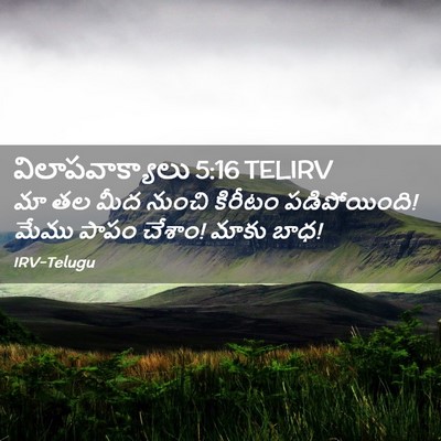 Picture 02 - విలాపవాక్యాలు 5:16 TELIRV - మా తల మీద నుంచి - Bible Verse Picture