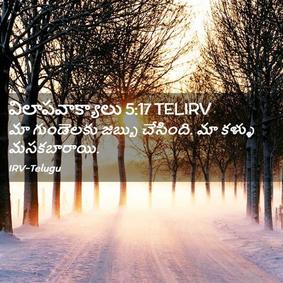 Picture 02 - విలాపవాక్యాలు 5:17 TELIRV - మా గుండెలకు జబ్బు - Bible Verse Picture