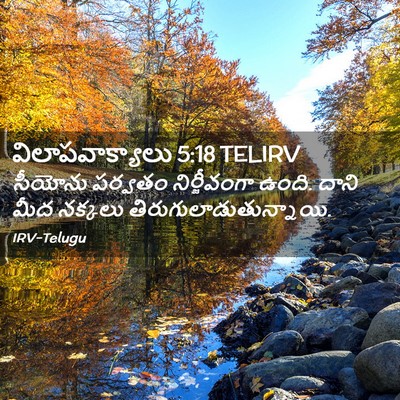 Picture 02 - విలాపవాక్యాలు 5:18 TELIRV - సీయోను పర్వతం - Bible Verse Picture
