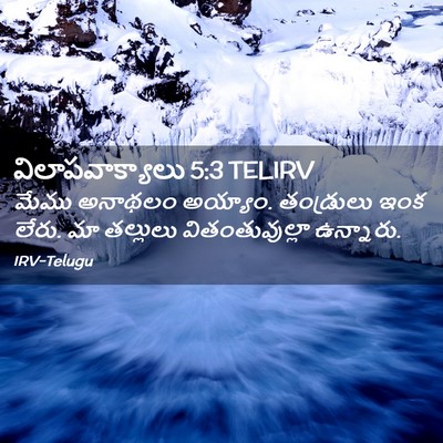 Picture 02 - విలాపవాక్యాలు 5:3 TELIRV - మేము అనాథలం - Bible Verse Picture