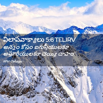 Picture 02 - విలాపవాక్యాలు 5:6 TELIRV - అన్నం కోసం - Bible Verse Picture