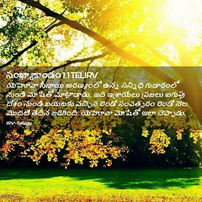 Picture 02 - సంఖ్యాకాండం 1:1 TELIRV - యెహోవా సీనాయి - Bible Verse Picture