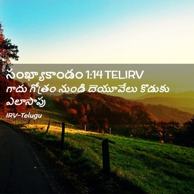 Picture 02 - సంఖ్యాకాండం 1:14 TELIRV - గాదు గోత్రం నుండి - Bible Verse Picture