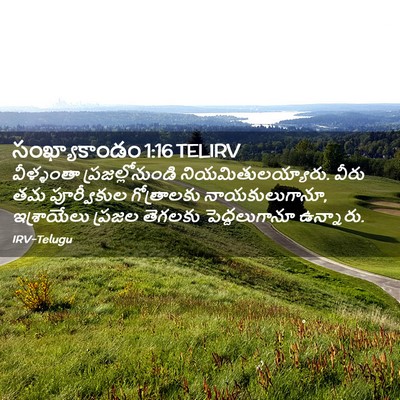 Picture 02 - సంఖ్యాకాండం 1:16 TELIRV - వీళ్ళంతా - Bible Verse Picture
